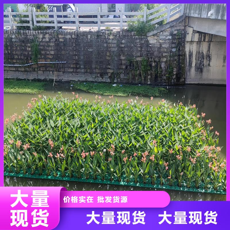 浮島工程行業(yè)資訊