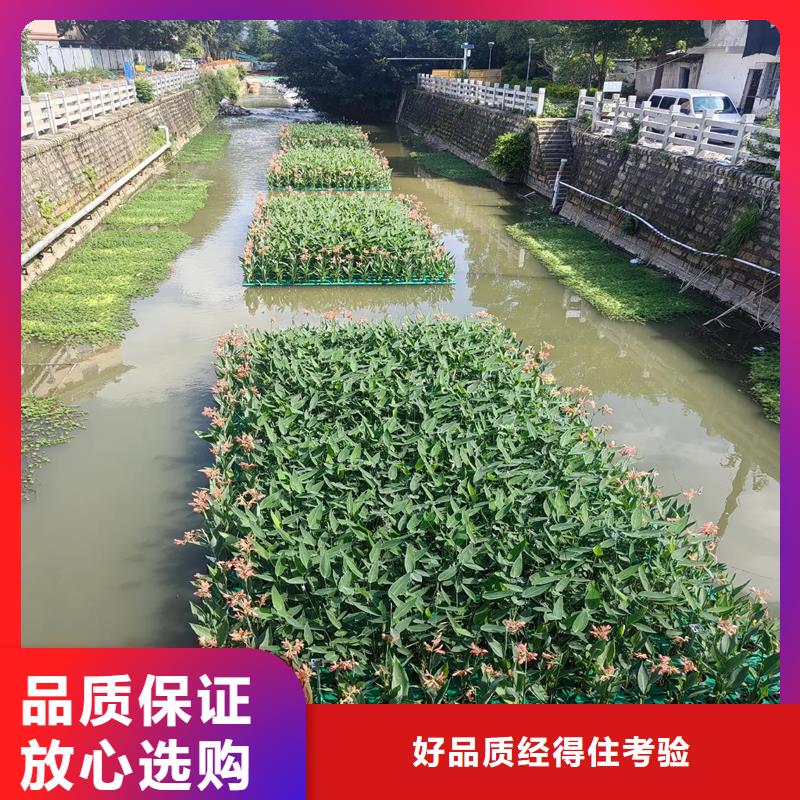 供應批發(fā)河道浮島-好評