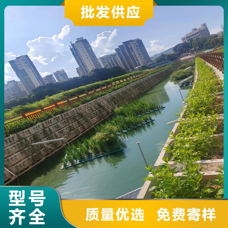 潛流濕地綠化廠家質(zhì)優(yōu)價(jià)廉