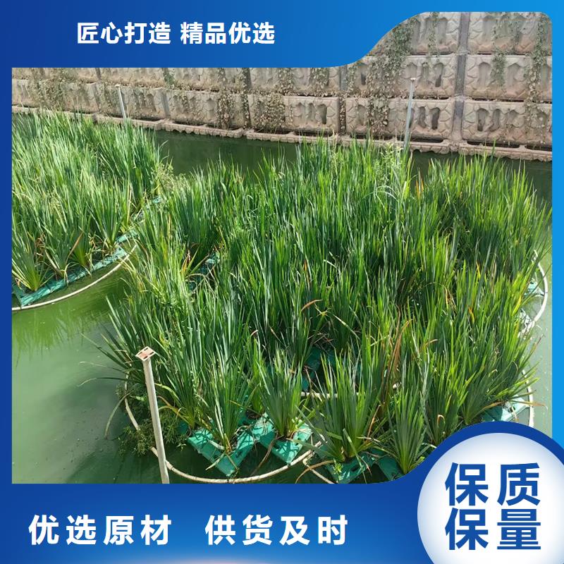 生態(tài)浮床人工浮島廠家批發(fā)零售