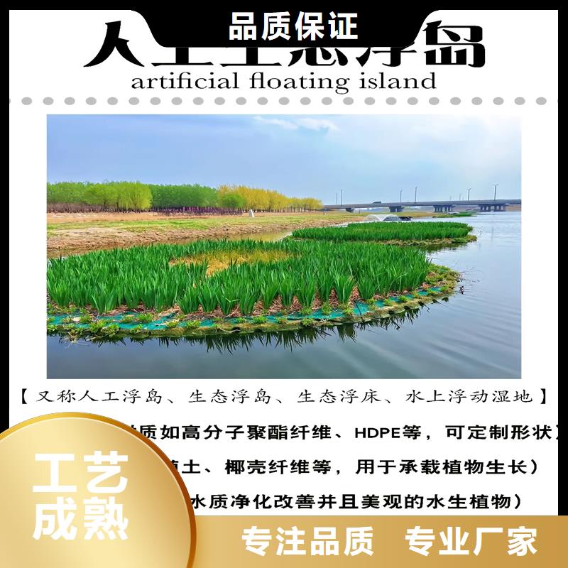 浮島水生全國銷售點(diǎn)