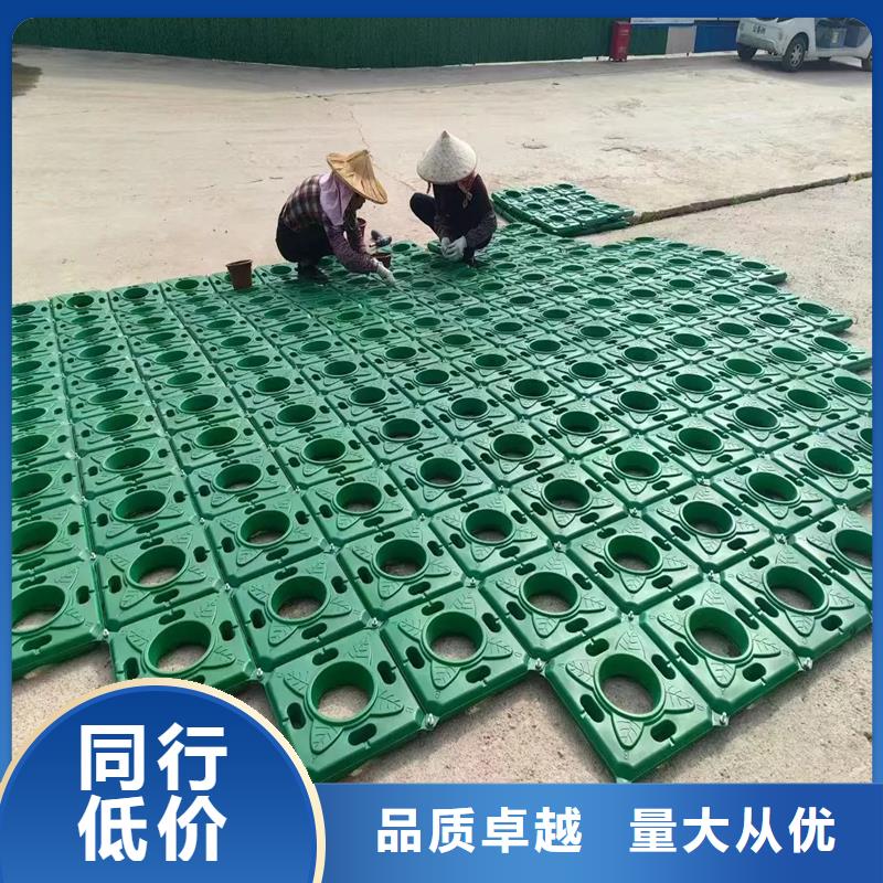 供應批發(fā)河道浮島-好評