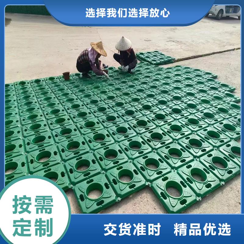 浮島水生全國銷售點(diǎn)