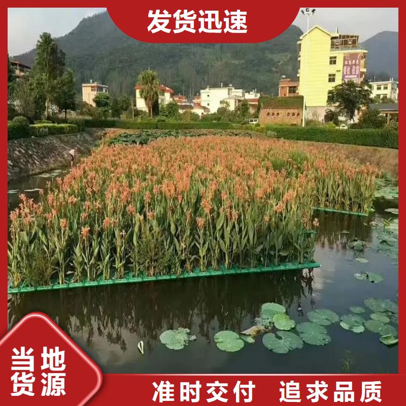 供應(yīng)浮島水生態(tài)造景