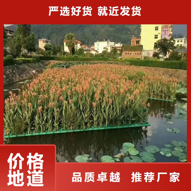 水上生物浮島的工作原理