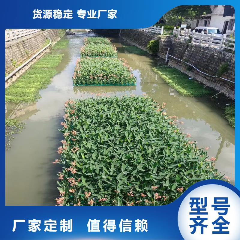供應(yīng)浮島水生態(tài)造景