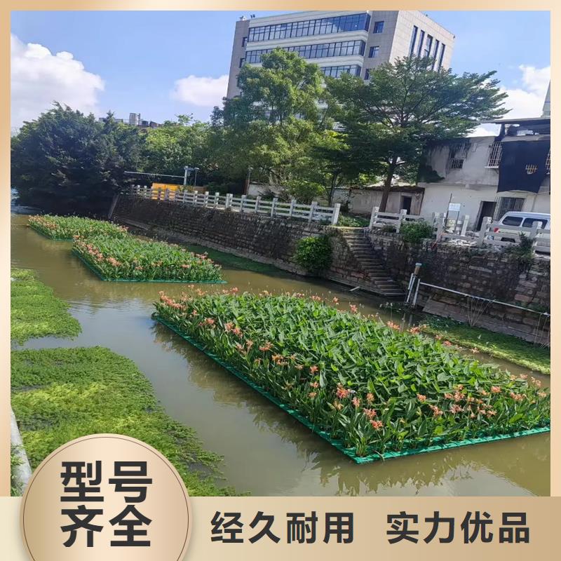 浮島促銷等你來