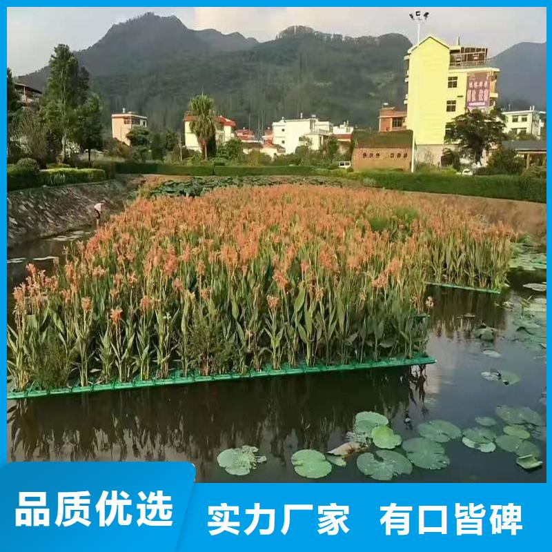 選購(gòu)水域浮島-現(xiàn)貨充足有保障