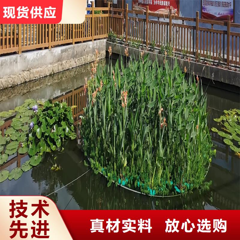 性價(jià)比高的生態(tài)浮島工程生產(chǎn)廠家