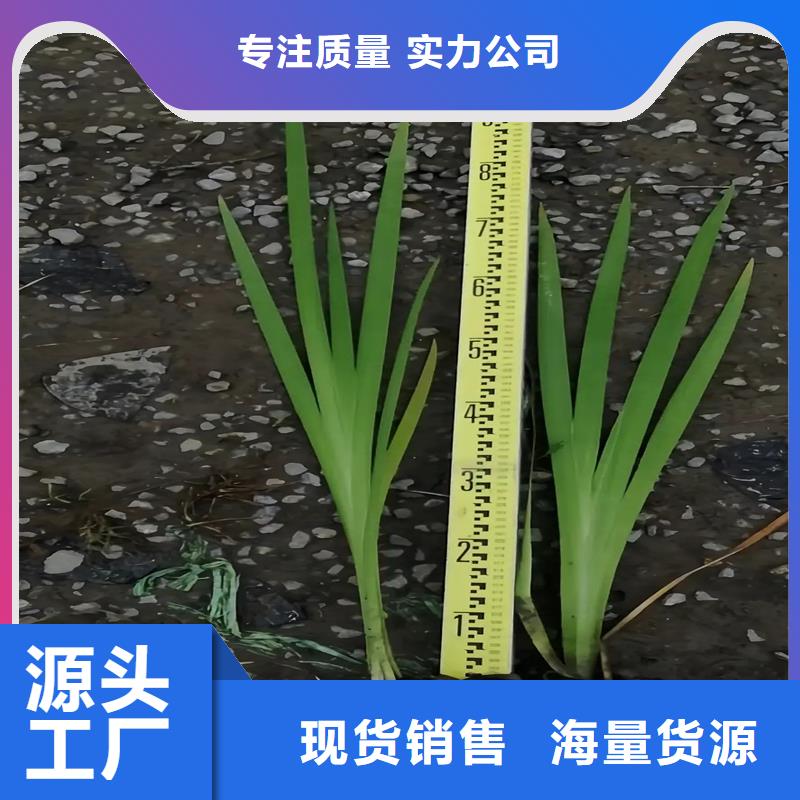 加工定制浮島設(shè)計(jì)