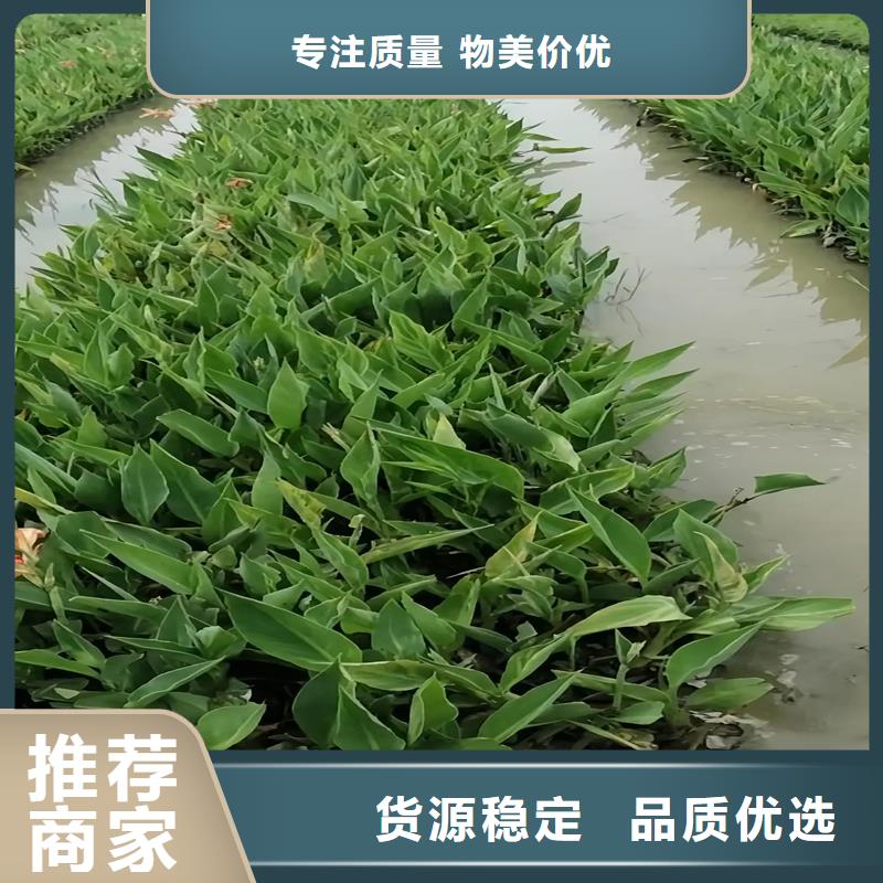 浮島促銷等你來