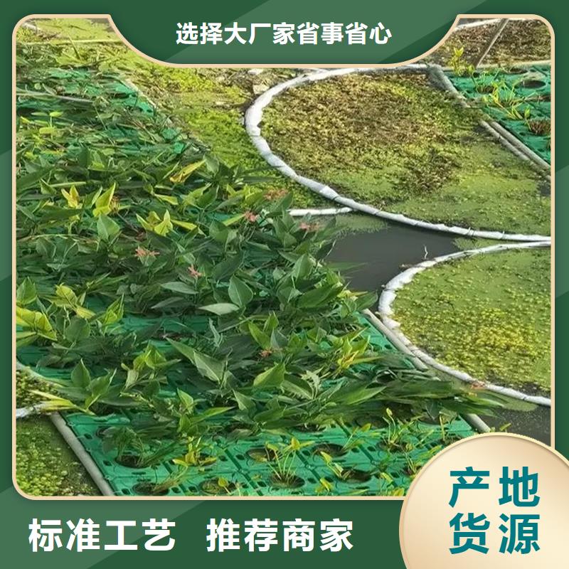 選購(gòu)水域浮島-現(xiàn)貨充足有保障