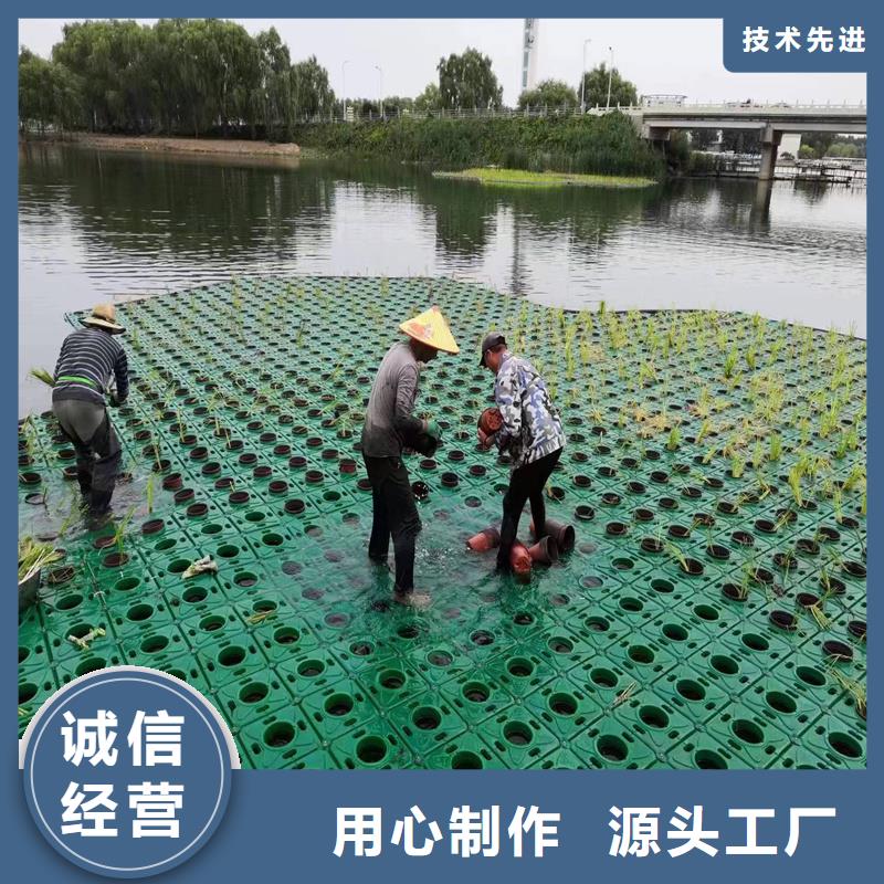 潛流濕地綠化可按需定做