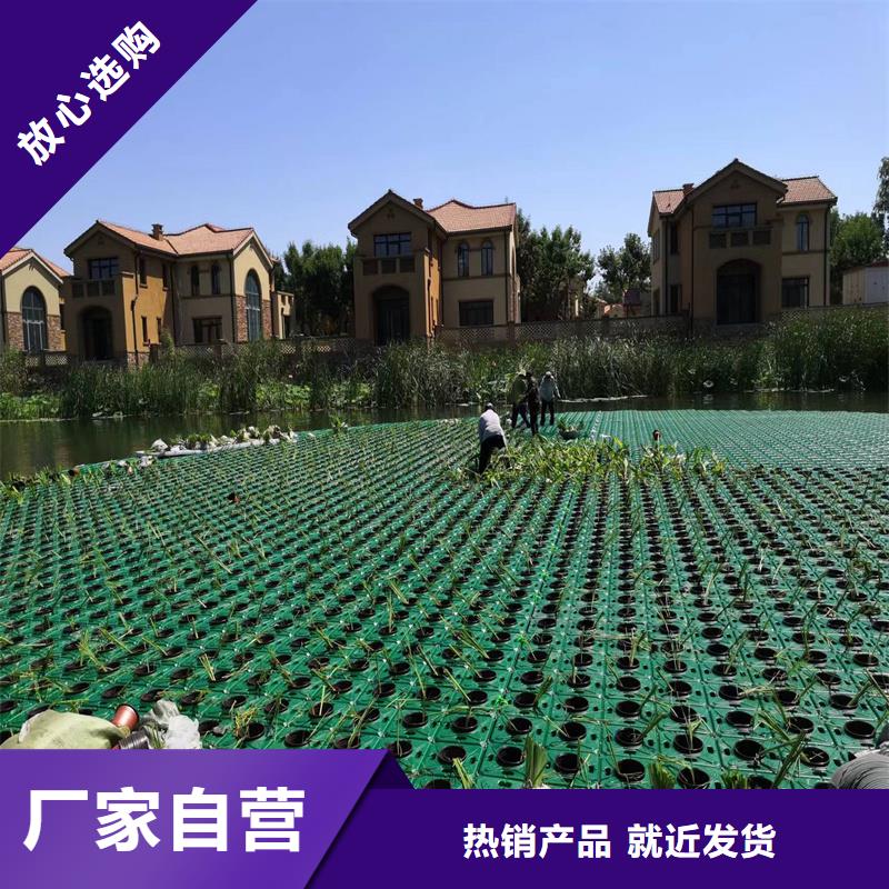 浮島水生全國銷售點(diǎn)