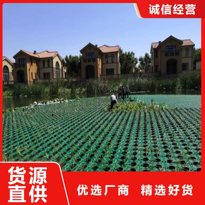 支持定制的水域浮島廠家