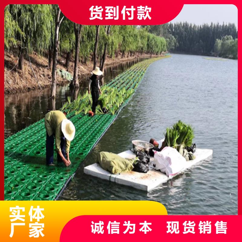 支持定制的水域浮島廠家