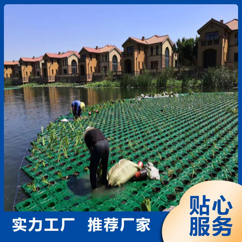 生態(tài)浮床人工浮島中心
