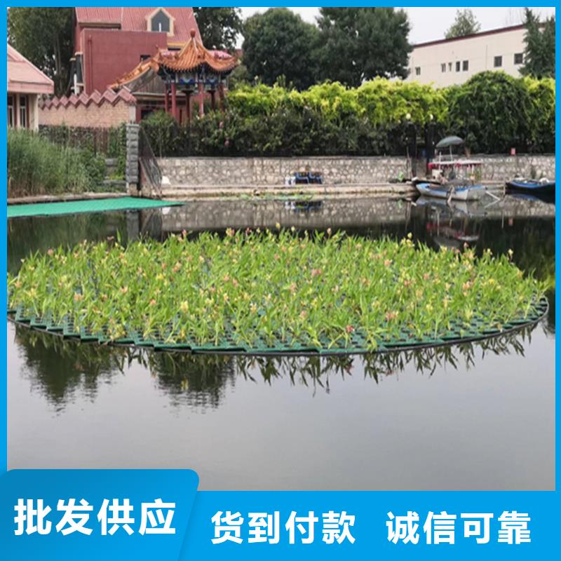 支持定制的水域浮島廠家