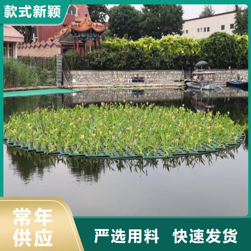 水上生物浮島-用的放心