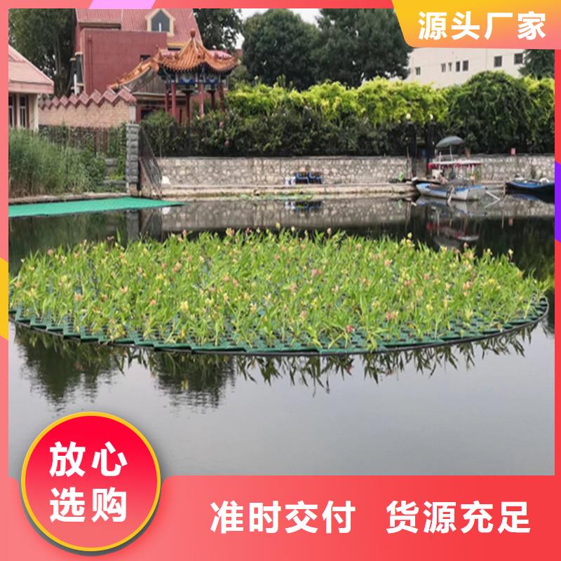 潛流濕地綠化可按需定做