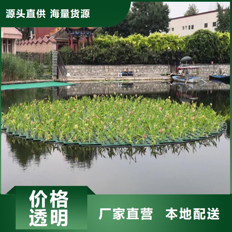 供應(yīng)浮島水生態(tài)造景