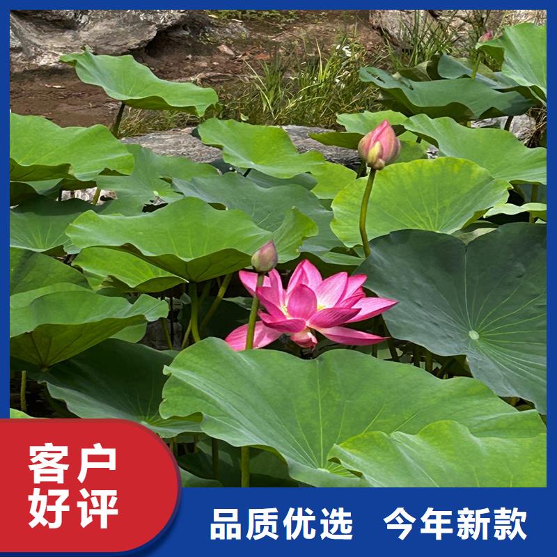 當(dāng)?shù)睾苫缁厣a(chǎn)廠商