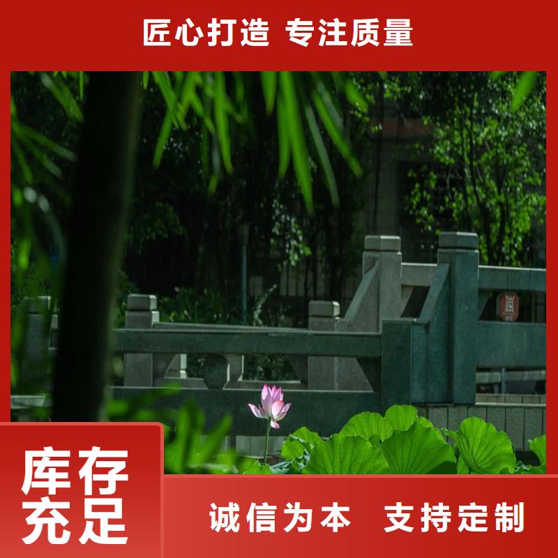 重信譽(yù)蓮藕苗廠商