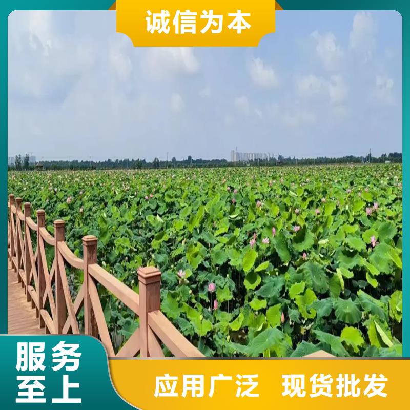 觀賞荷花廠家-點(diǎn)擊領(lǐng)取樣品