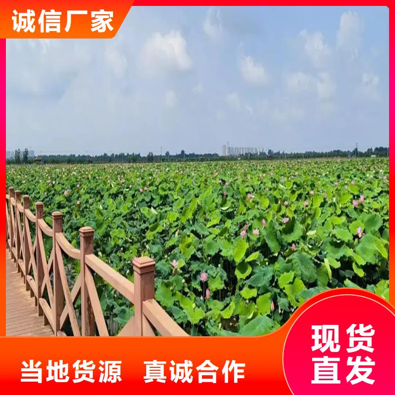 質(zhì)量?jī)?yōu)的精品荷花苗本地廠家