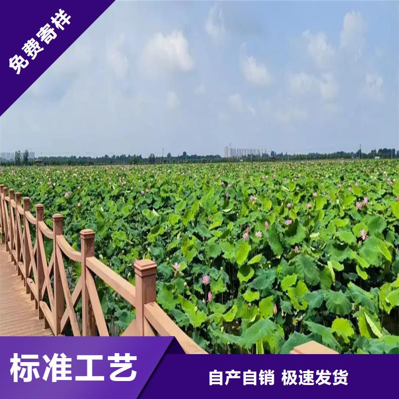 大型荷花苗量大從優(yōu)