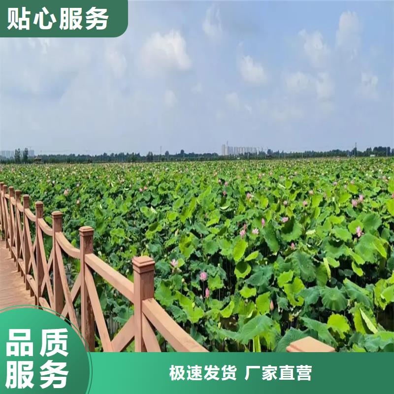 精品荷花苗定制批發(fā)