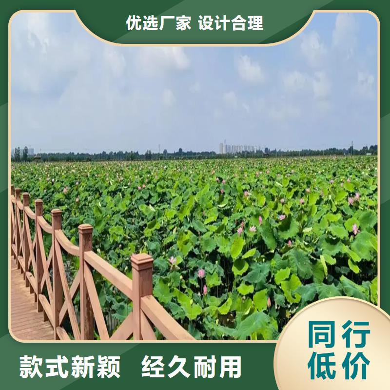 采購觀賞荷花必看-歡迎選購