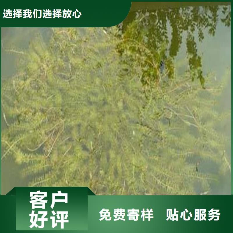 水面治理質(zhì)檢合格