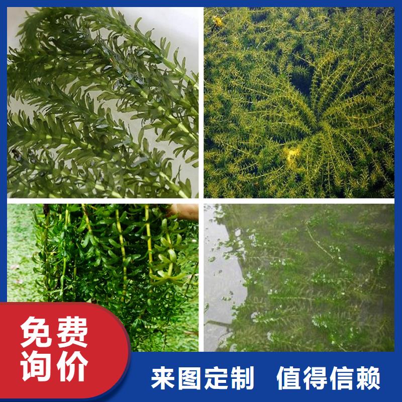 水面治理質(zhì)檢合格