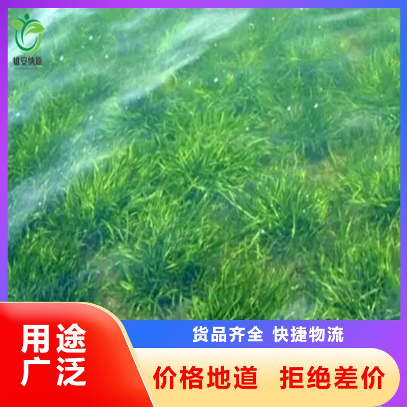 水面治理質(zhì)檢合格