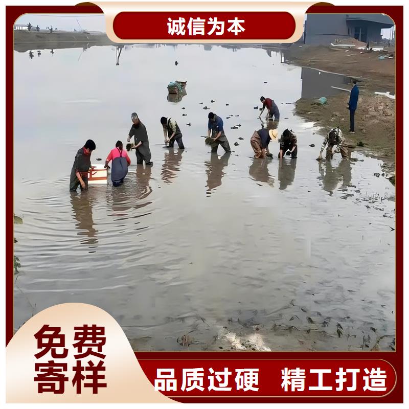 黑藻實力廠家生產(chǎn)