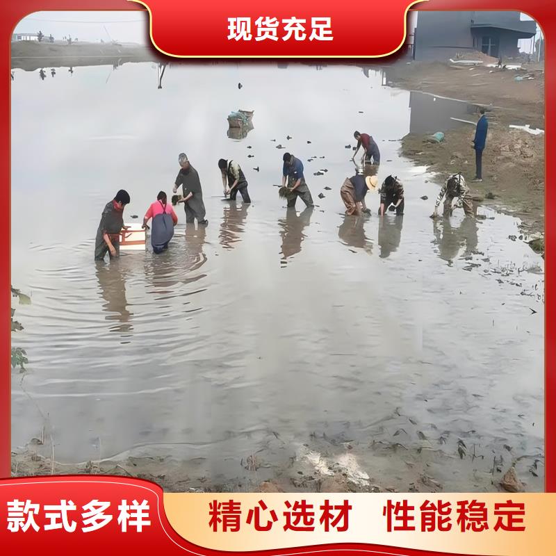 定做水生植物廠家