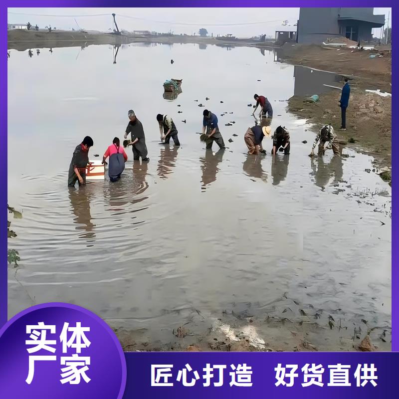 專業(yè)銷售苦草-好評(píng)