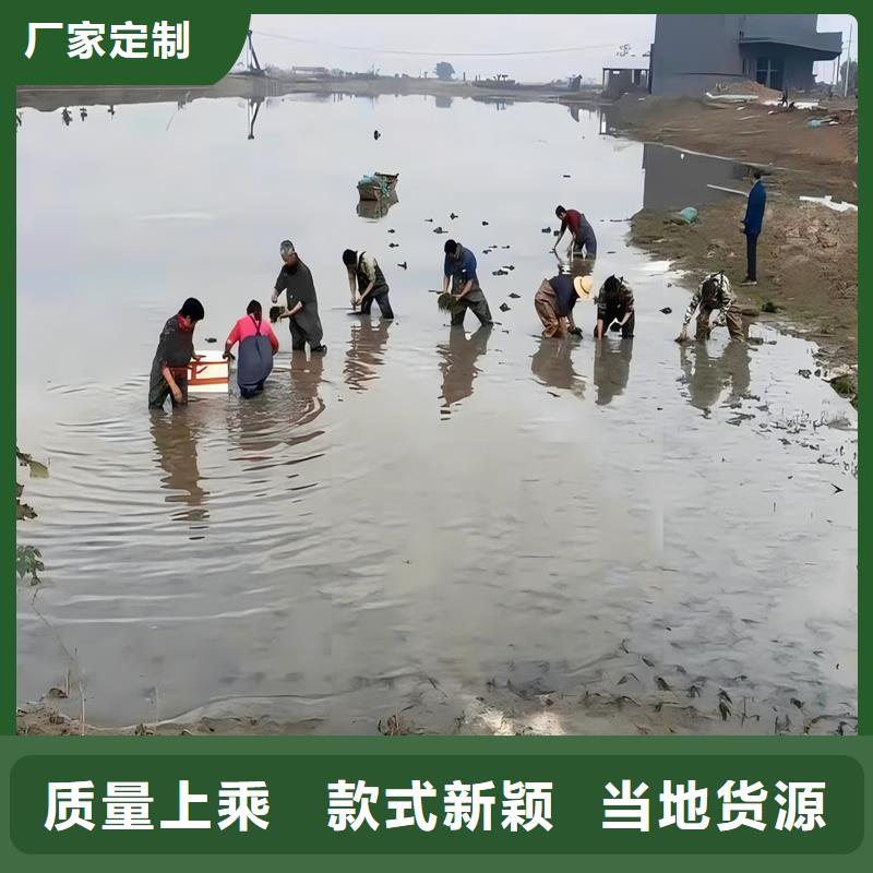 黑藻-好產(chǎn)品用質(zhì)量說(shuō)話