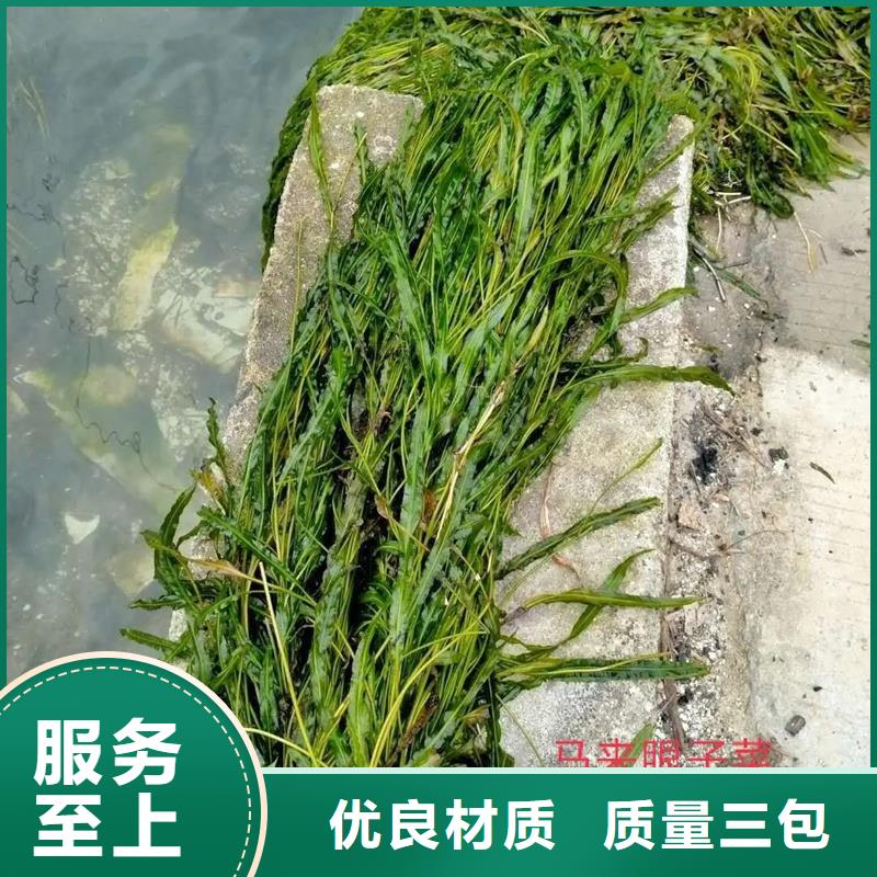 水面治理質(zhì)檢合格