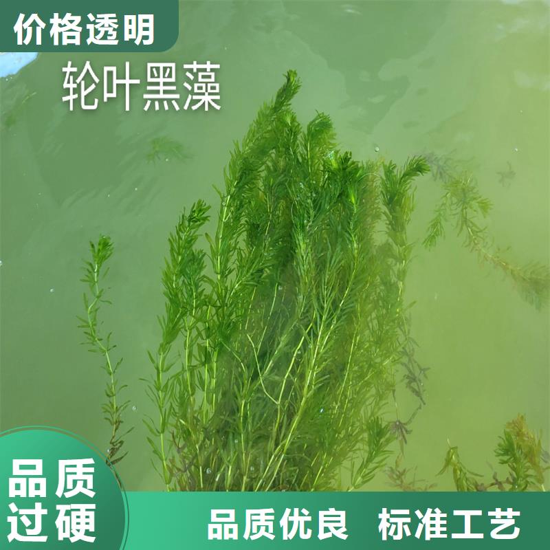 水面治理質(zhì)檢合格