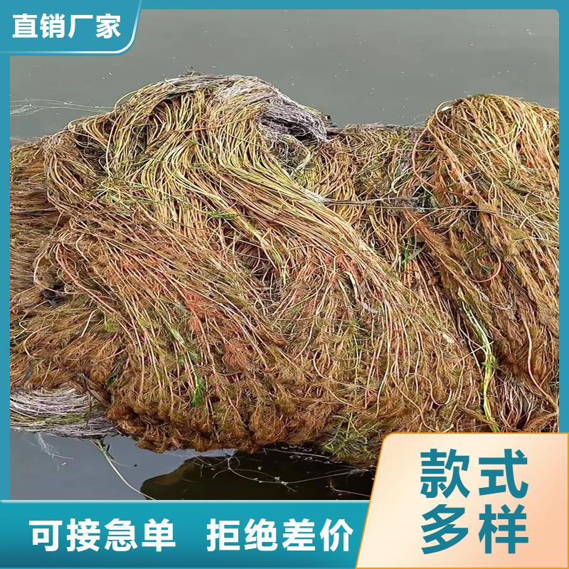 性價比高的金魚藻生產(chǎn)廠家