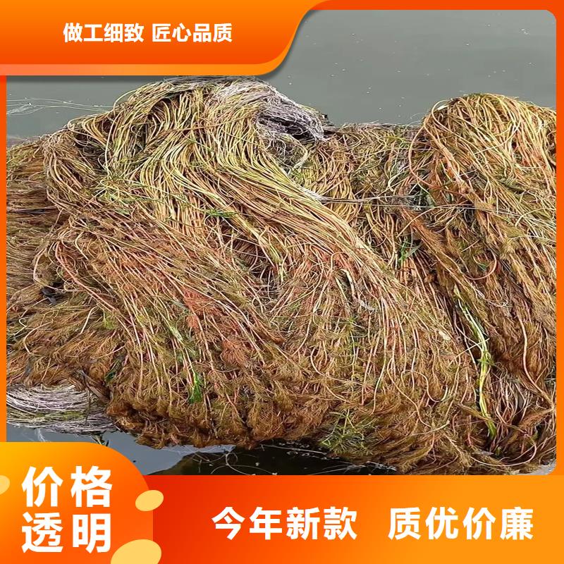 優(yōu)選貍藻廠家