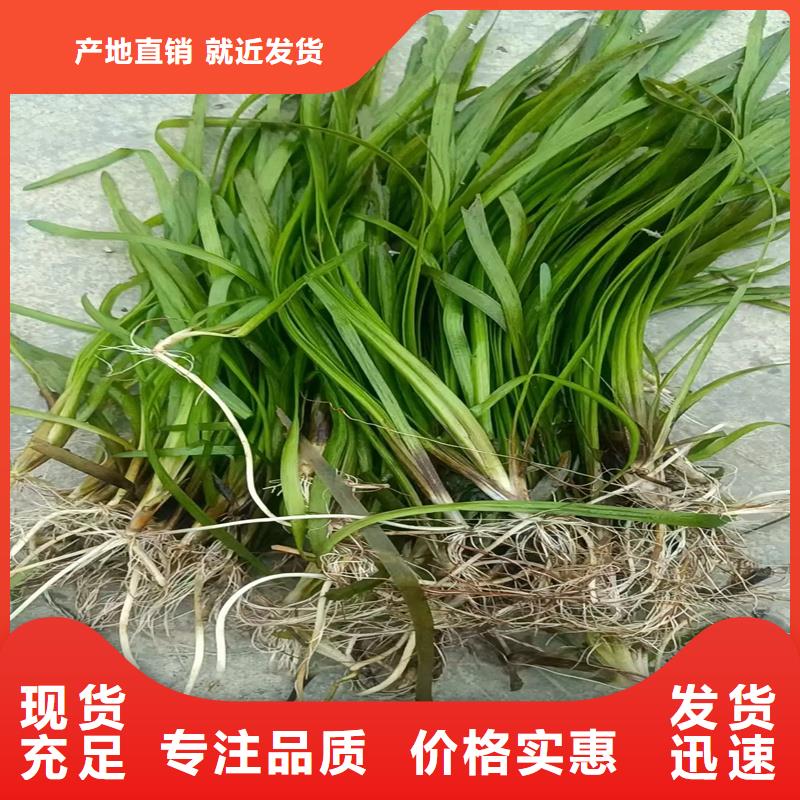 水面治理質(zhì)檢合格