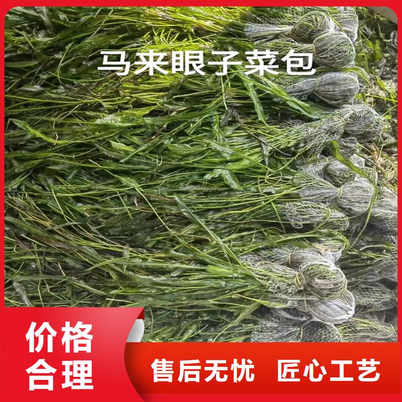 優(yōu)選貍藻廠家