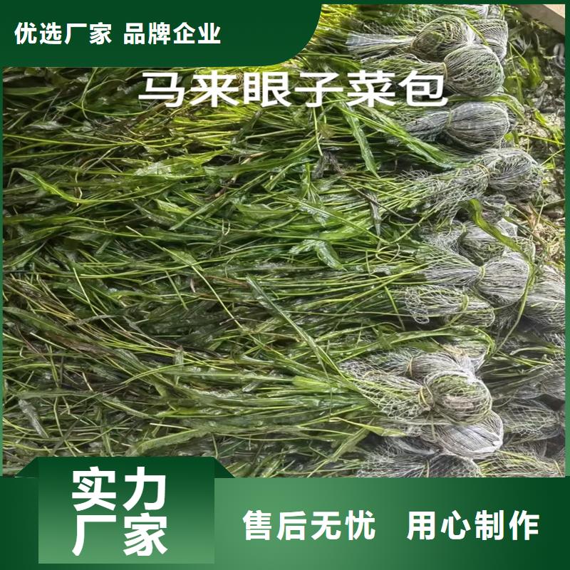 性價比高的金魚藻生產(chǎn)廠家
