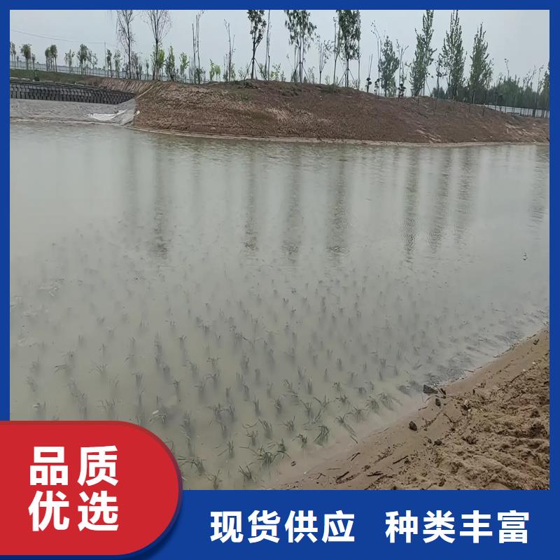 沉水植物廠家供應(yīng)批發(fā)