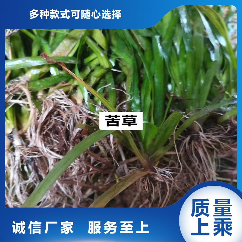 水面治理質(zhì)檢合格