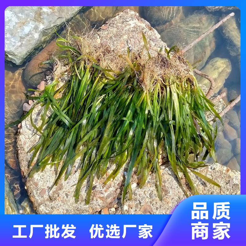 水面治理質(zhì)檢合格