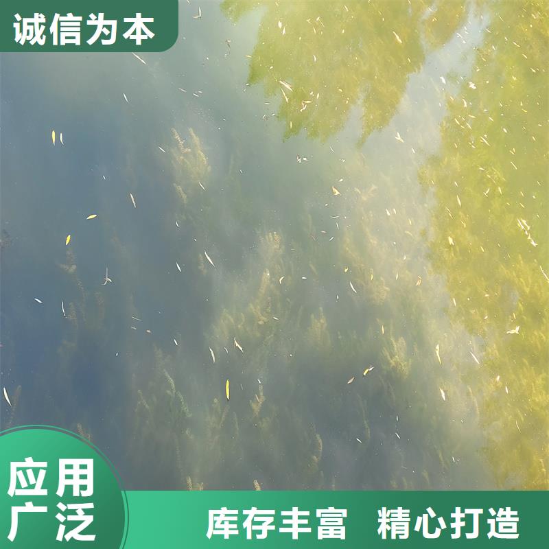 發(fā)貨及時的伊樂藻廠家